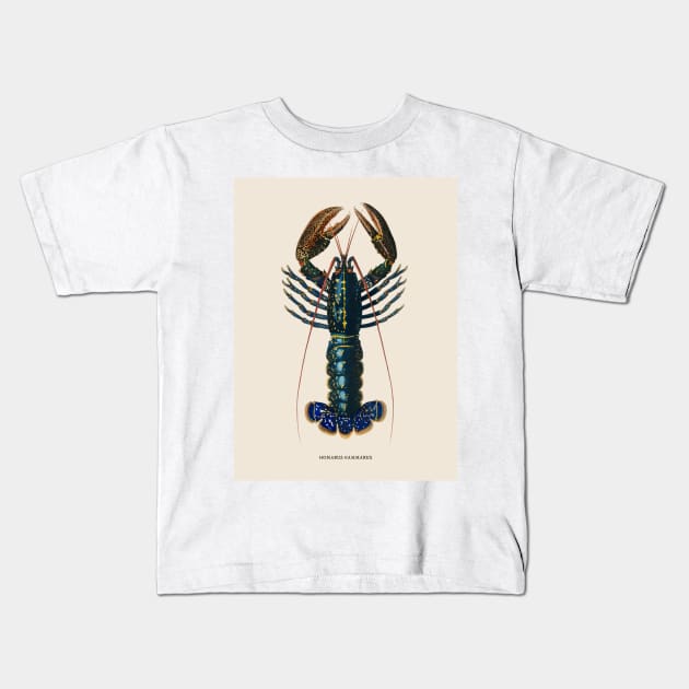 European Lobster Antique Naturalist Illustration Kids T-Shirt by Antiquated Art